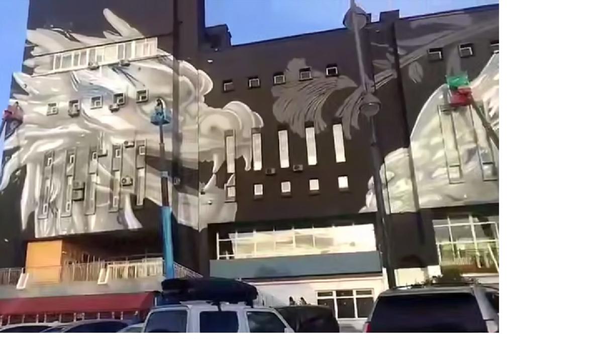 Жители Владивостока недовольны рисунком на фасаде дома