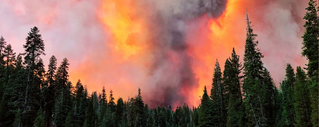 В Минусинском районе Красноярского края из-за пожара могут эвакуировать жителей двух сел