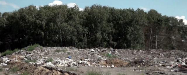 Под Сарапулом мусорный полигон рекультивируют за 170 млн рублей
