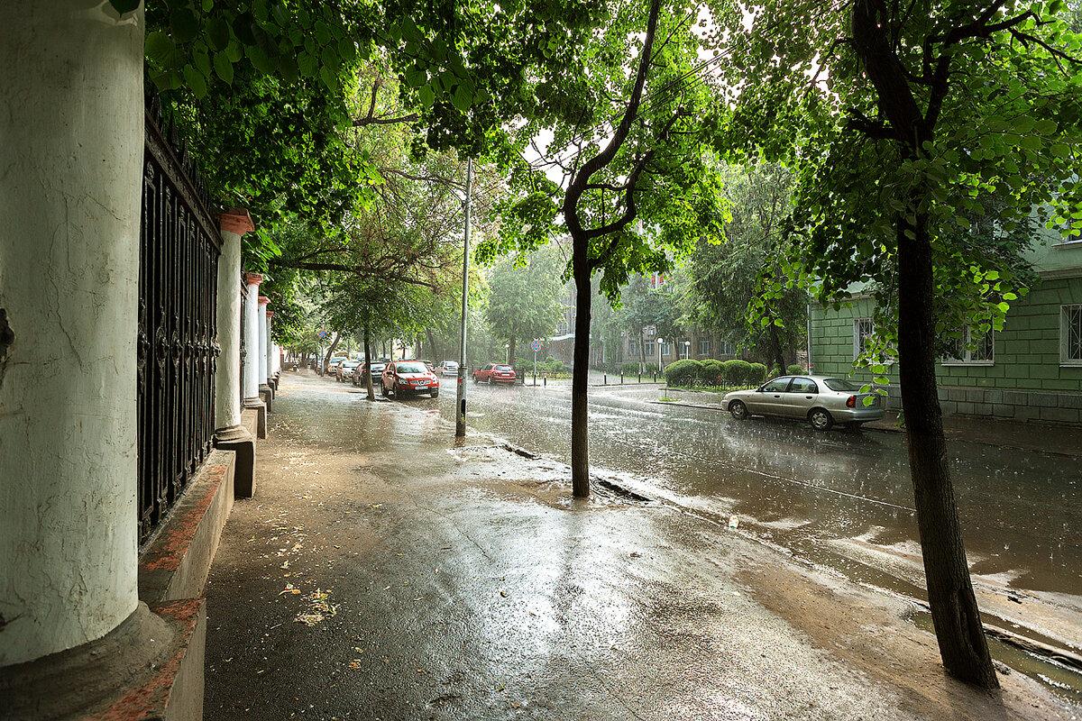 Выходные в Тульской области начнутся с ливней