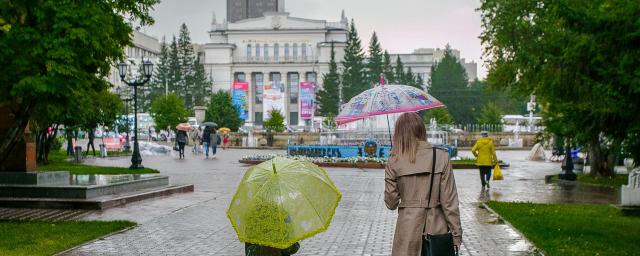 Синоптики прогнозируют аномально низкое число дождей в Новосибирской области в 2023 году