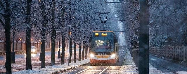 Здоровью жителей Петербурга угрожают проломанные от снега крыши павильонов на остановках