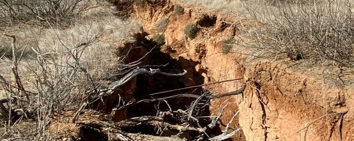 В США обнаружили разломы в земле протяженностью 272 километра