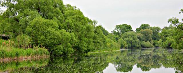 На водоемах Кузбасса за минувшие сутки утонуло двое детей