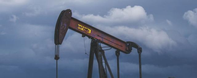 Ekonomický deník: доля России в импорте нефти Чехии выросла до 65%