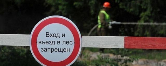 В лесах Волгоградской области ограничили пребывание граждан