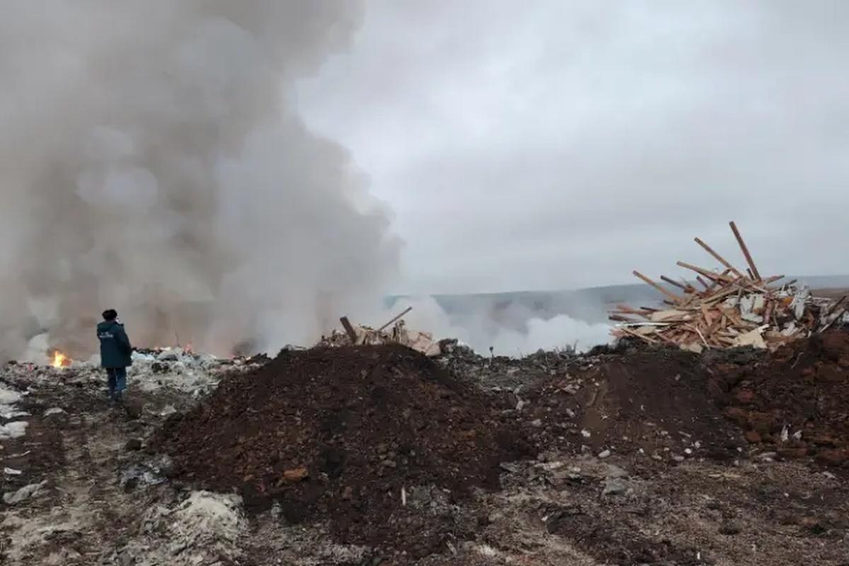 Росприроднадзор расследует пожар на свалке в Мордовии