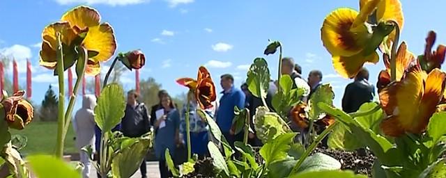 В Иванове ко Дню Победы высадят свыше 80 тысяч цветов