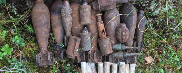 Тайник с боеприпасами времен войны обнаружен в Суоярвском районе