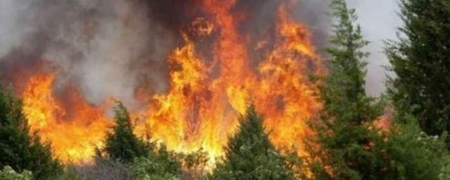 В Омской области сотрудники ГУ МЧС объявили пожароопасный период