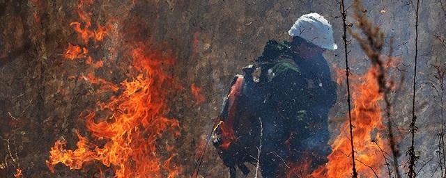 МЧС: Пожары в Сибири возникли из-за неосторожного обращения с огнем