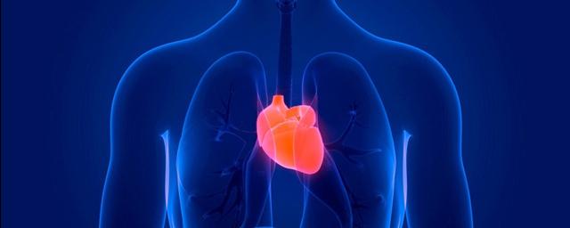 University of Bristol: Scientists were able to use a longevity gene to start the heart rejuvenation process