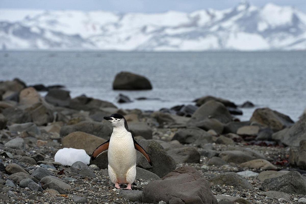 Министр торговли Латник заявил, что Трамп пытается предотвратить возможность обхода пошлин для Китая