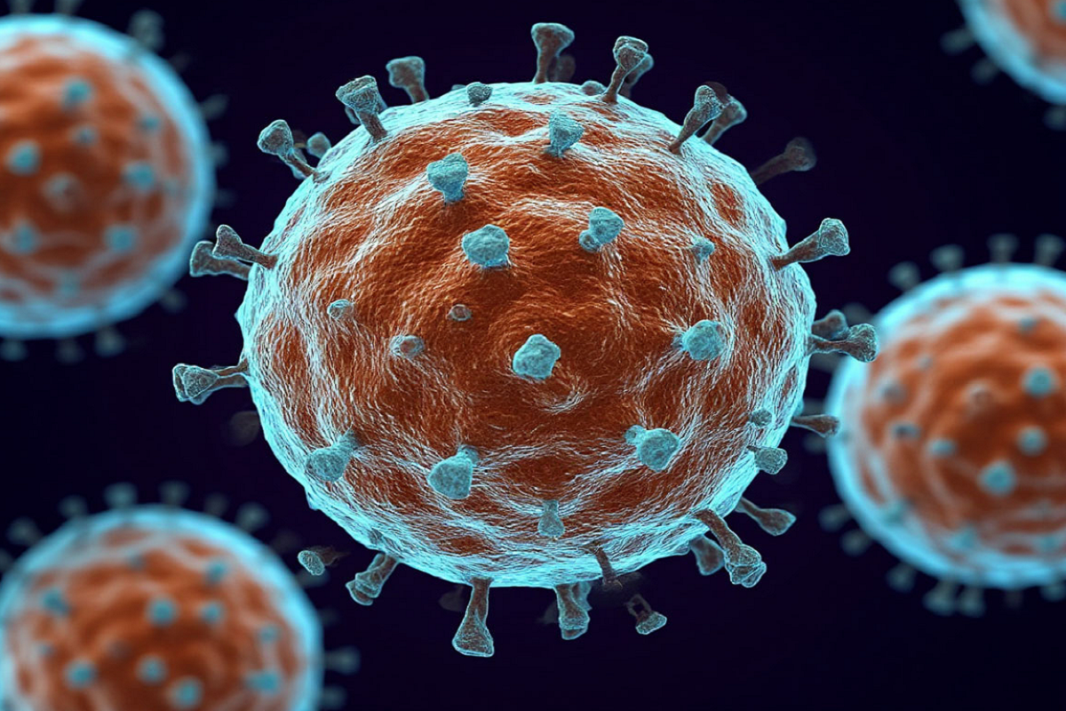 В ВОЗ назвали основным источником распространения вируса Нипах летучих мышей