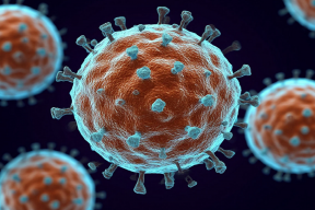 В ВОЗ назвали основным источником распространения вируса Нипах летучих мышей