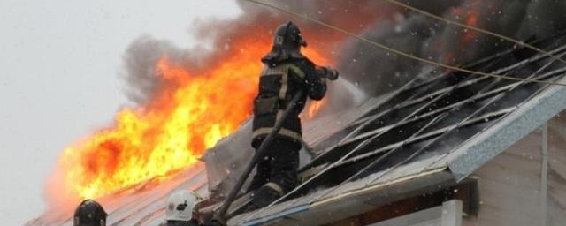 В Ленинградской области при пожаре в частном доме погибли двое детей