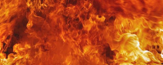 В Марий Эл за прошедшую неделю произошло 16 пожаров