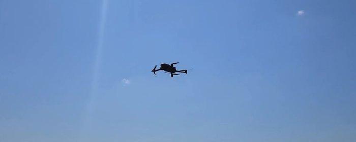 Минобороны Румынии: следственная группа не нашла следов падения дронов в лесу вблиз Тулчи