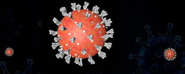 В Новосибирской области выявили еще 105 заболевших коронавирусом за сутки
