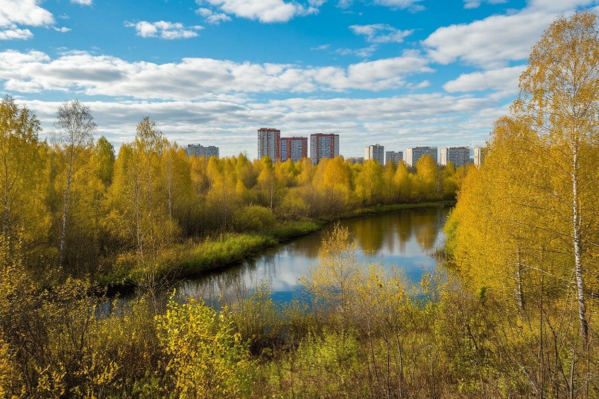 Матырское водохранилище через полвека стало важной частью экосистемы Липецкой области