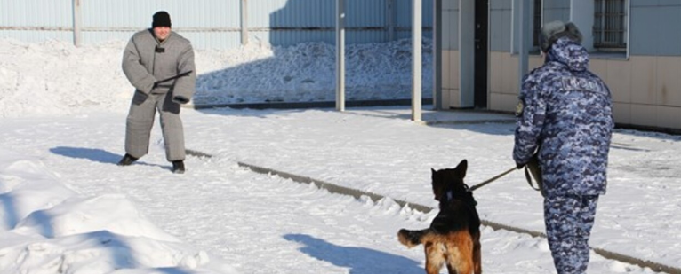 В ЕАО для студентов Сельхозтехникума провели занятие в кинологическом подразделении СИЗО-1