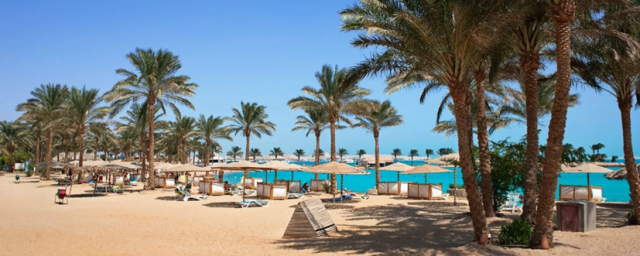 Число рейсов из России в Египет назовут во второй половине мая