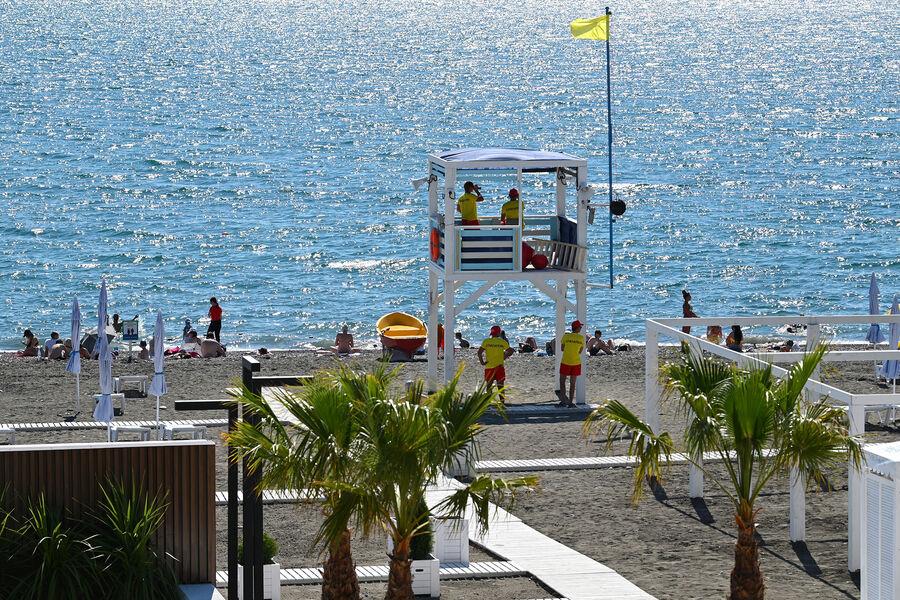 В Сочи 51 пляжу присвоен почетный международный знак отличия  – «Синий флаг»