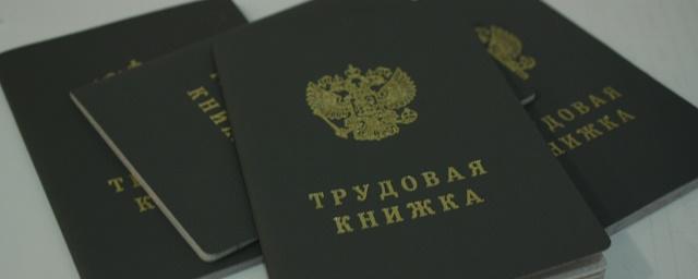 Минтруд: В РФ могут ввести электронные трудовые книжки