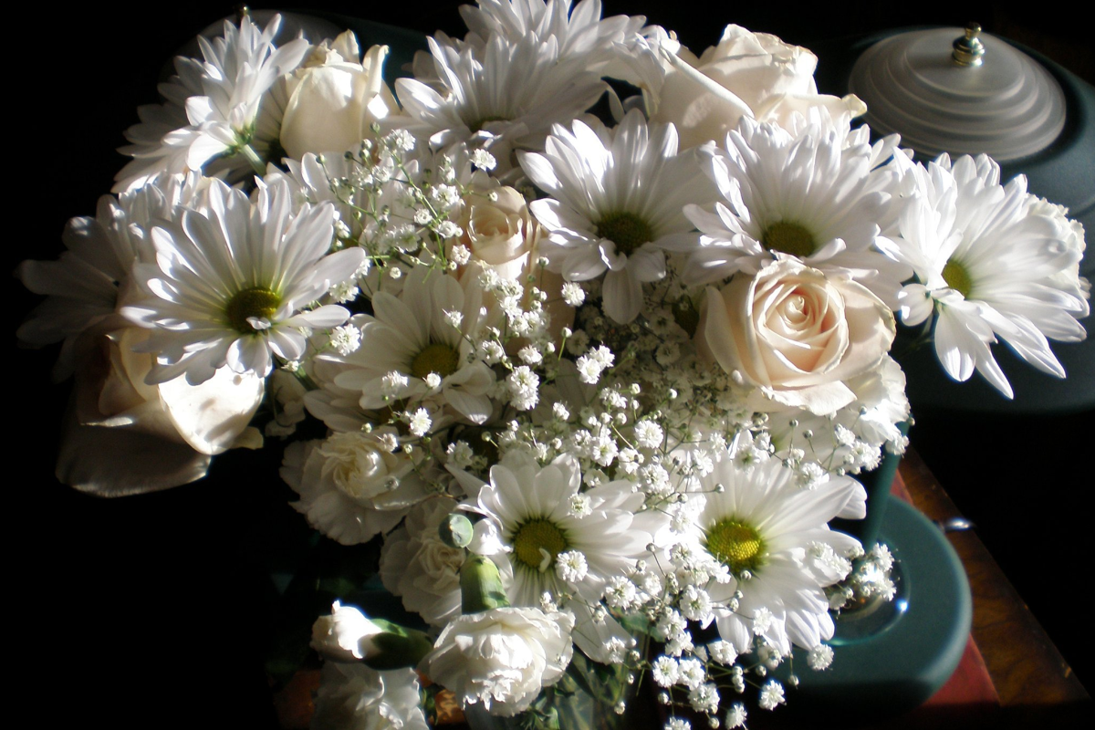 Токсиколог Кутушов рассказал, какие цветы не понравятся аллергикам
