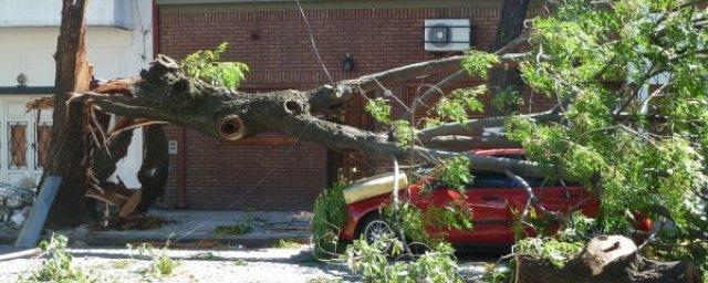 В Омске ликвидируют последствия бушевавшего в городе урагана