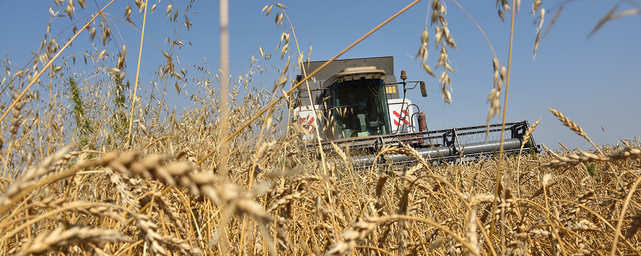 Мировые цены на продовольствие достигли максимума с 2014 года