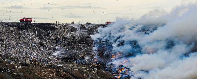 Природоохранная прокуратура Новосибирска возбудила проверку после возгорания мусорного полигона