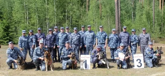 В Псковской области определили лучших кинологов