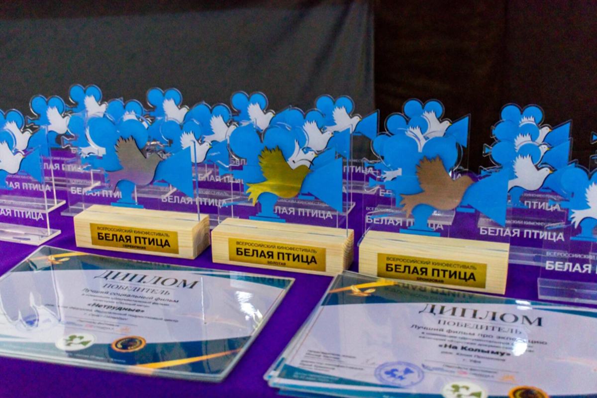 Фильмы из Мурманска покорили жюри фестиваля «Белая Птица»