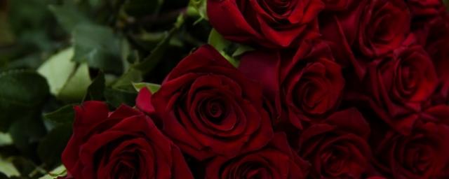В честь Международного женского дня в Казахстан завезли 18 миллионов роз