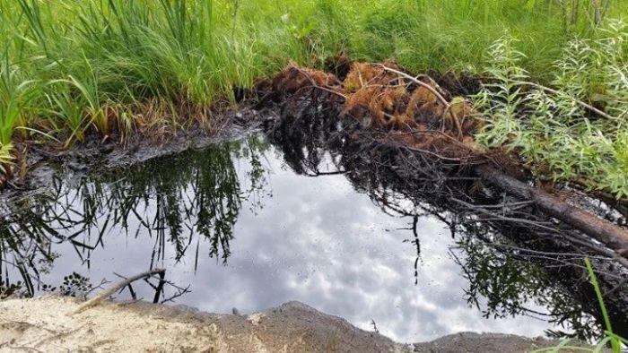 Ущерб от разлива нефти в Удмуртии составил 340 тысяч рублей