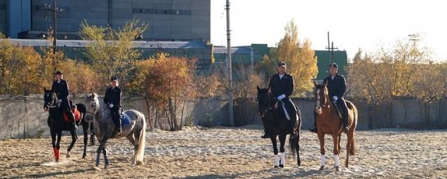 В Волгограде спустя 13 лет возрождена конная полиция