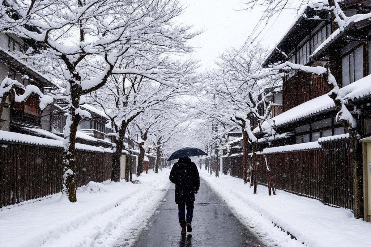 От снегопадов в Японии с конца января погибли 38 человек