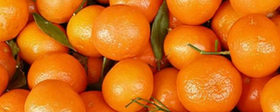 Нутрициолог Свиридова рассказала о пользе и вреде мандаринов
