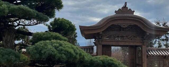 В Японский сад в Краснодаре с 5 мая станет ещё сложнее попасть