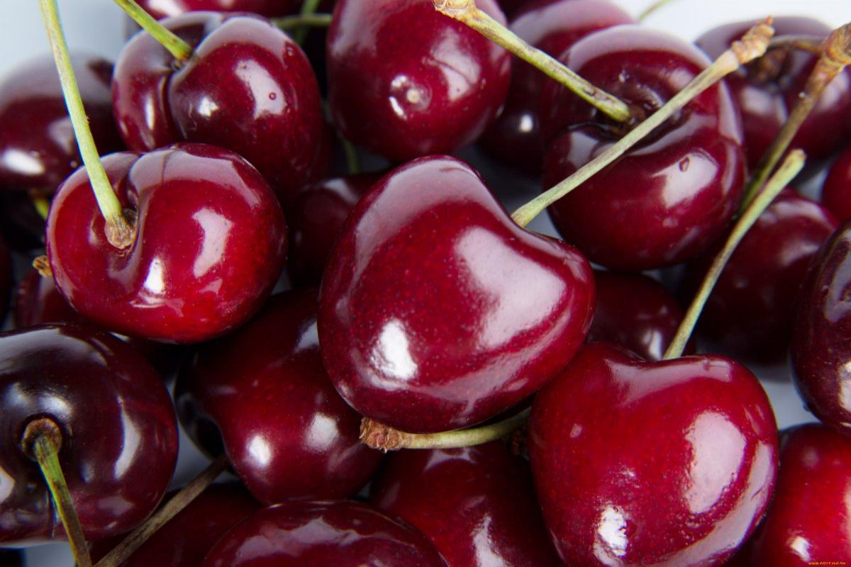 Популярная в Россия ягода предотвращает старение и улучшает зрение