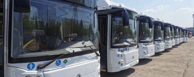 В Нижнем Новгороде на маршруты вышли 20 современных автобусов