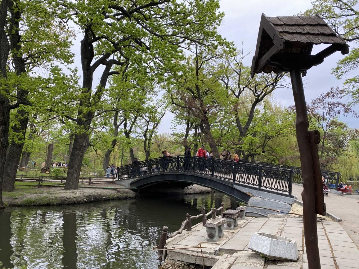 Бизнес городской парк. Городской парк Саратов. Мост городского парка Саратов. Центральный парк Саратова. Август в городском парке.