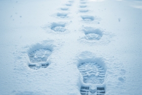 Волонтеры «ЛизаАлерт» подвели итоги поисков пропавших в Ульяновской области за декабрь