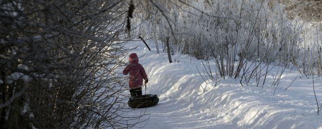 В Воронежской области ожидается солнечная и морозная погода