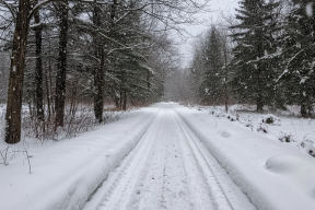 Толщина снежного покрова в Марий Эл превысила 100 см