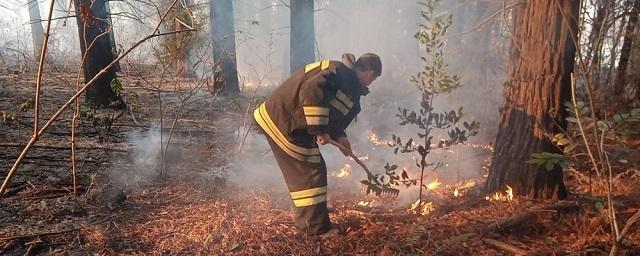 Пожары в Сочи и Геленджике начались из-за фейерверков