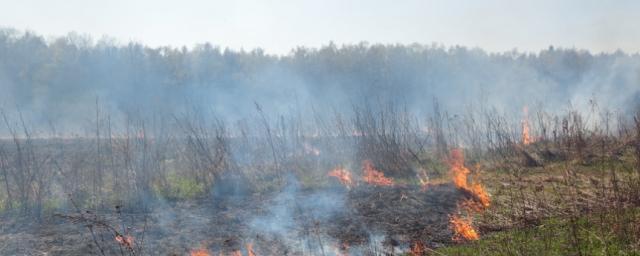 Алтайские спасатели напомнили о высокой пожароопасности