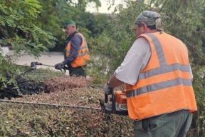 Сотрудники «Парков и скверов» благоустраивают зеленые зоны в Севастополе