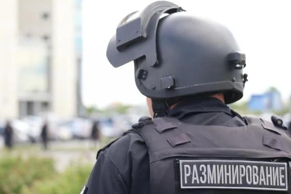 Массовая проверка: Петербург столкнулся с волнением из-за ложных минирований